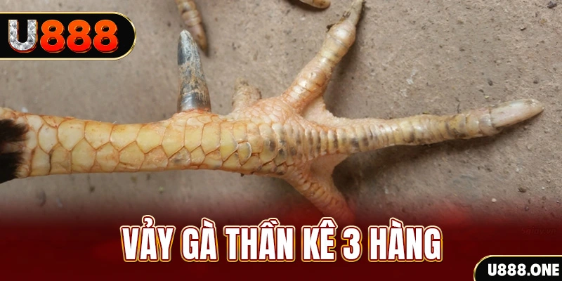 mcw88 nổ hũ đổi thưởng . ai