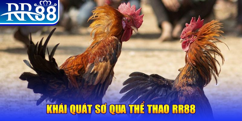 mcw88 nổ hũ là như thế nào