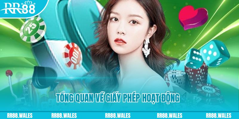 mcw88 kết quả xổ số kiến thiết miền bắc