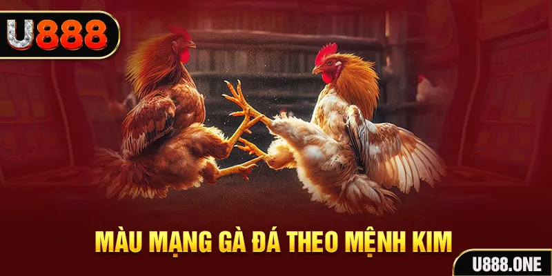 mcw88 gà chọi tiêu phong