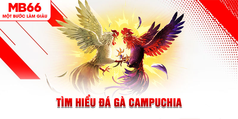 mcw88 tại sao không tải được nổ hũ