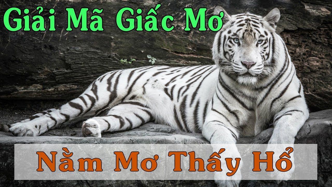 mcw88 xổ số miền trung