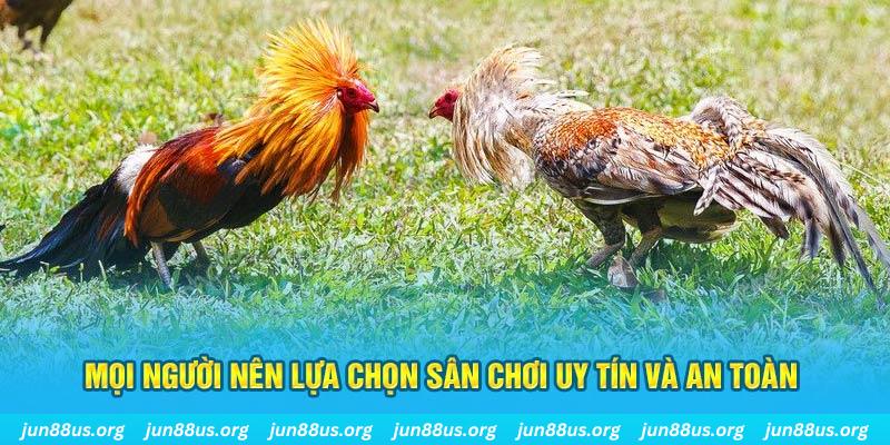 mcw88 khi nào thì nổ hũ tài xỉu