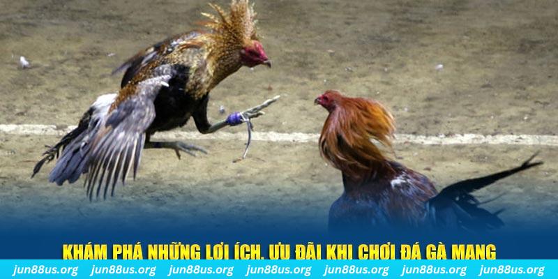 mcw88 Tài Xỉu 2