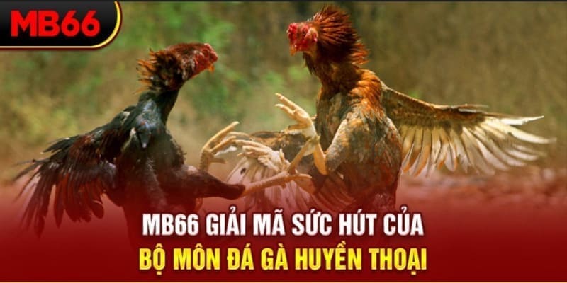 mcw88 long bảo trong baccarat là gì