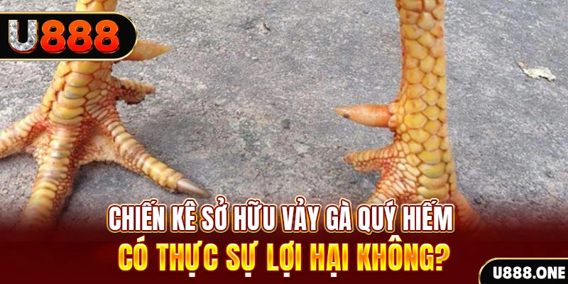mcw88 game cá cược máy bay