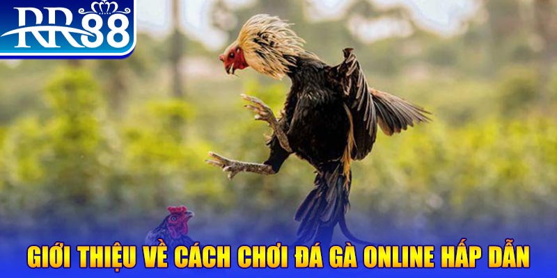 mcw88 nổ hũ 2 mặt là gì