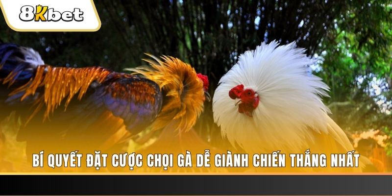 mcw88 may club nổ hũ
