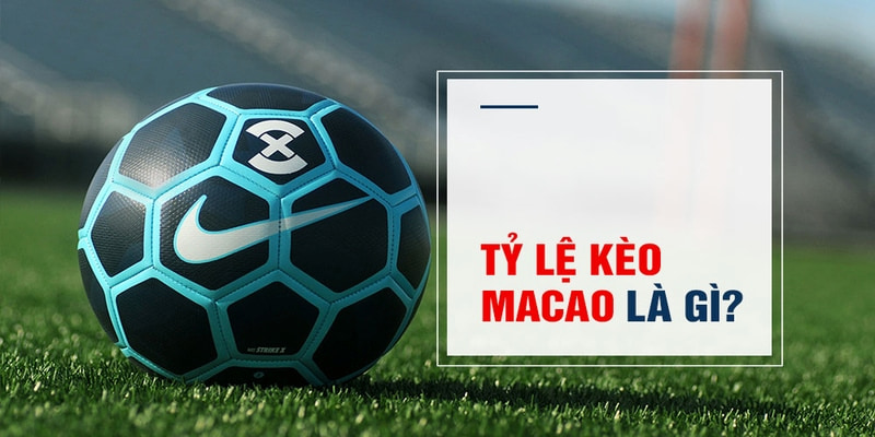 mcw88 Trăm Knorr