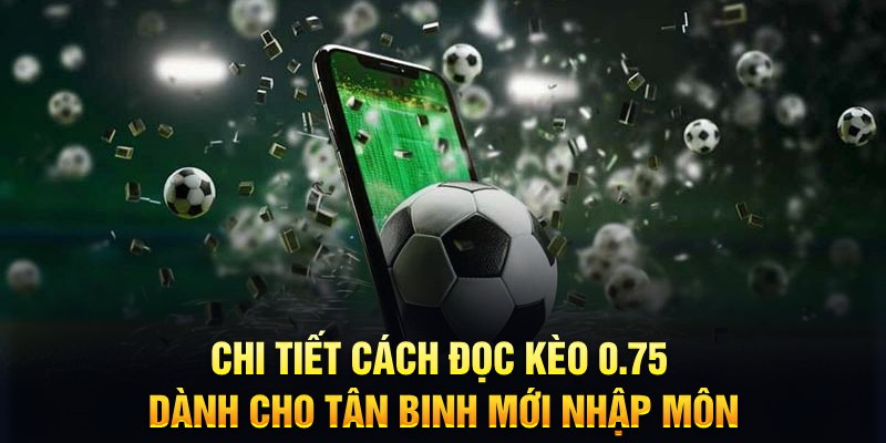 mcw88 sổ xô miên nam hôm nay