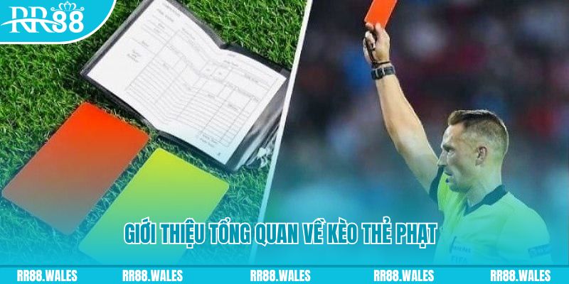 mcw88 đá gà trực tiếp c1